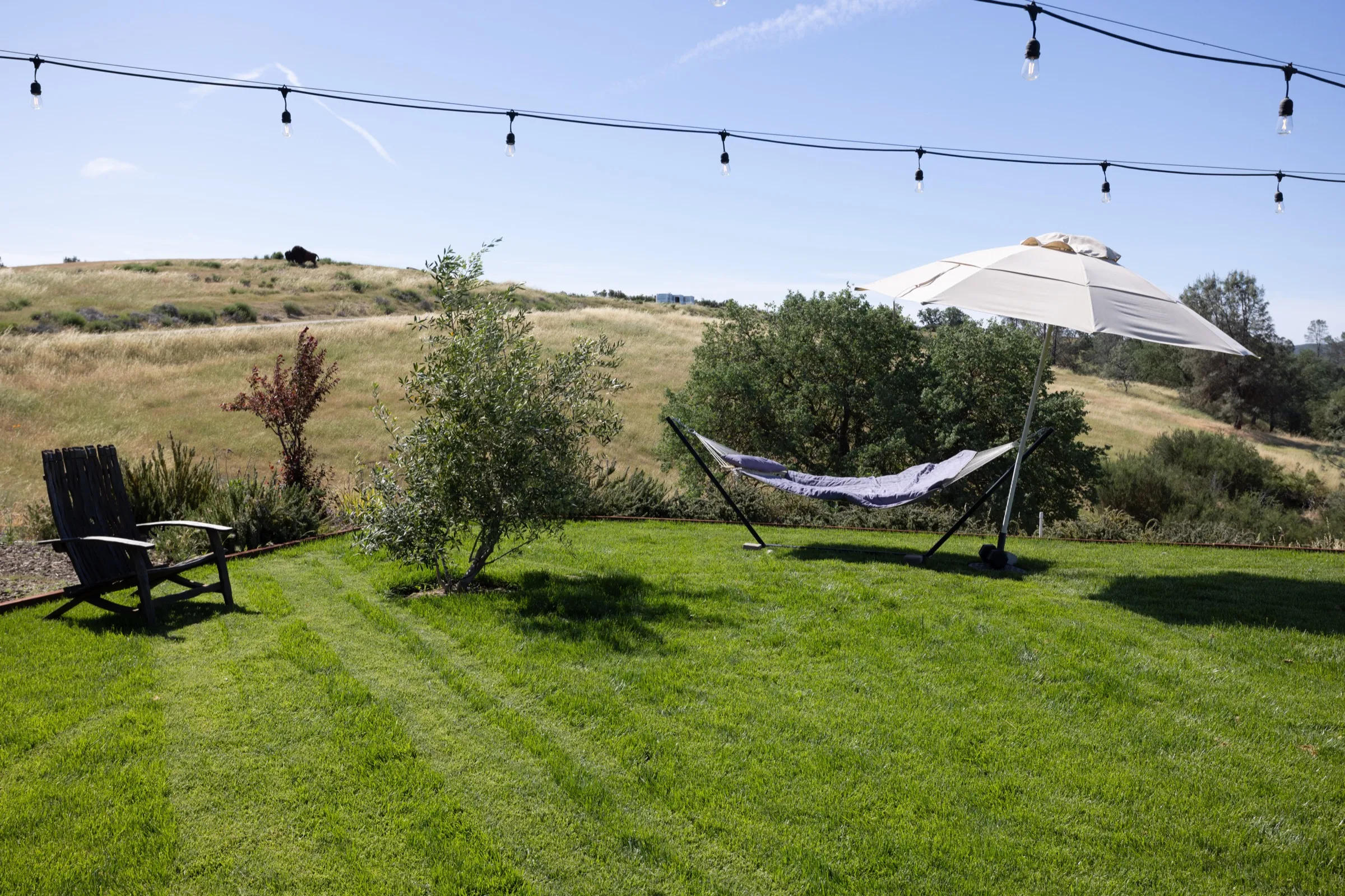 The Ranch Bungalow — photo 2