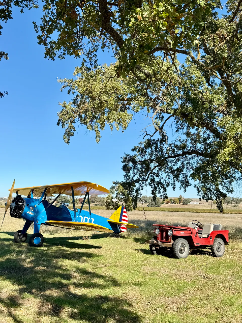 Vintage biplane and Jeep under an oak tree at Horsetail Ranch
