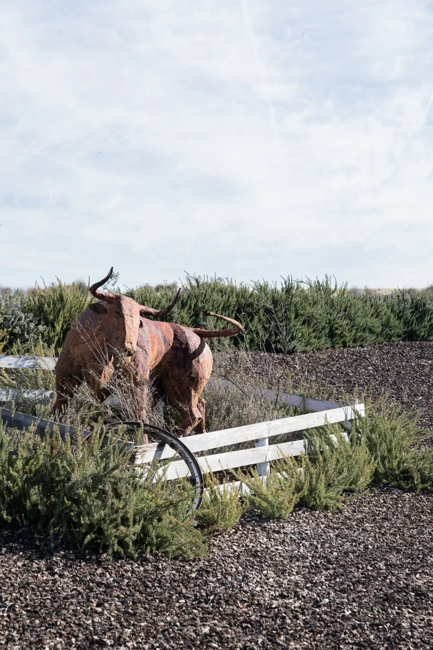 The Ranch Villa — photo 17